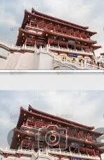 3d森林舞会安卓版-3D森林舞会安卓版，沉浸式体验与互动娱乐的完美结合