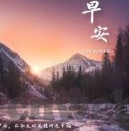 足球比分和赔率-足球比分与赔率，一场数据与心理的博弈交响曲